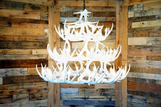 **Pure White**  Whitetail 42 Cast Antler Chandelier