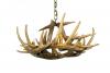 Whitetail 6 Cast Antler Chandelier