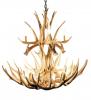 Mule Deer 16 Cast Antler Chandelier