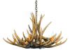 Mule Deer 9 Cast Antler Chandelier 