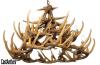 Whitetail 24 Cast Antler Chandelier