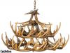 Whitetail 24 Cast Antler Chandelier