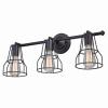 3 Light Edison Bronze Cage Bathroom Vanity Light/Sconce Adjustable