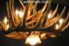 Whitetail 21 Cast Cascade Antler Chandelier w/ Downlight