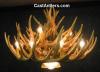 Whitetail 21 Cast Cascade Antler Chandelier w/ Downlight