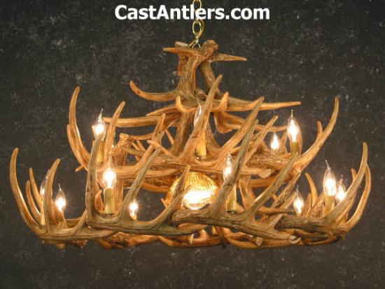 Whitetail 24 Cast Antler Chandelier w/ Downlight